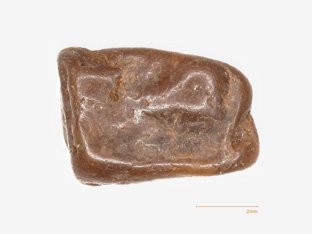 Bahianite